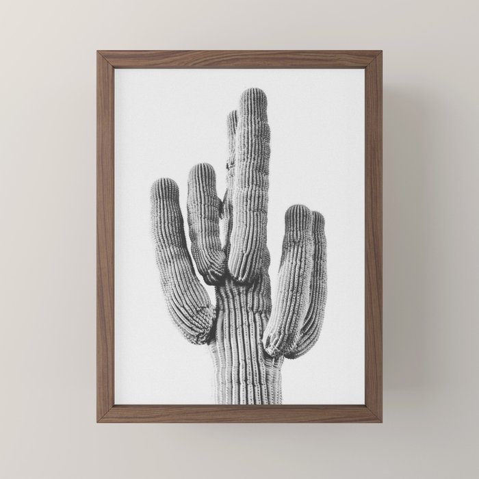 DESERT CACTUS XIX / Scottsdale, Arizona Mini Art Print Gallery Image 2
