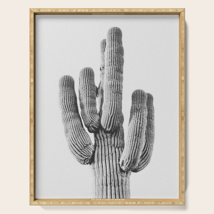 DESERT CACTUS XIX / Scottsdale, Arizona Serving Tray Gallery Image 1
