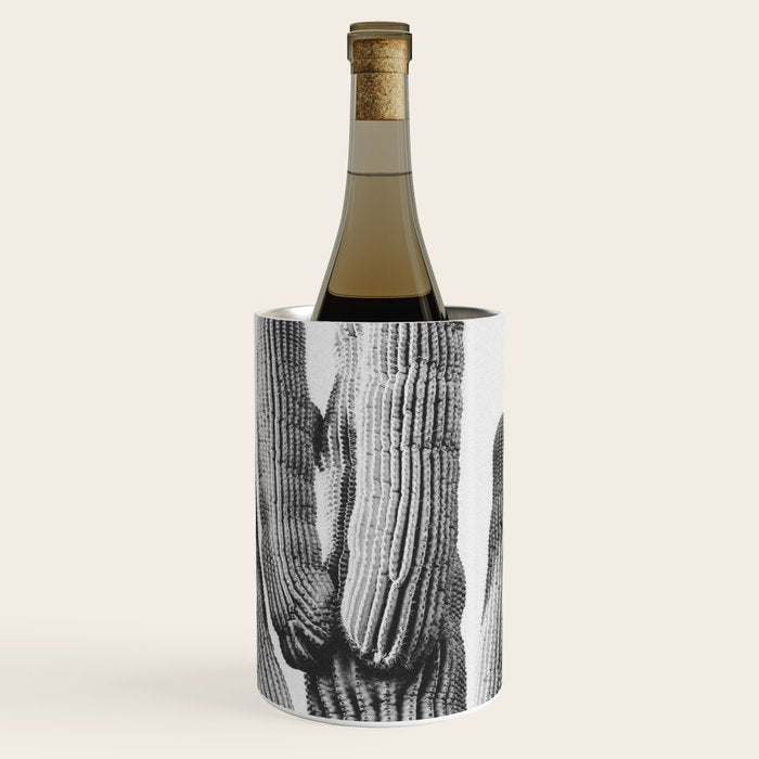 DESERT CACTUS XIX / Scottsdale, Arizona Wine Chiller Gallery Image 1