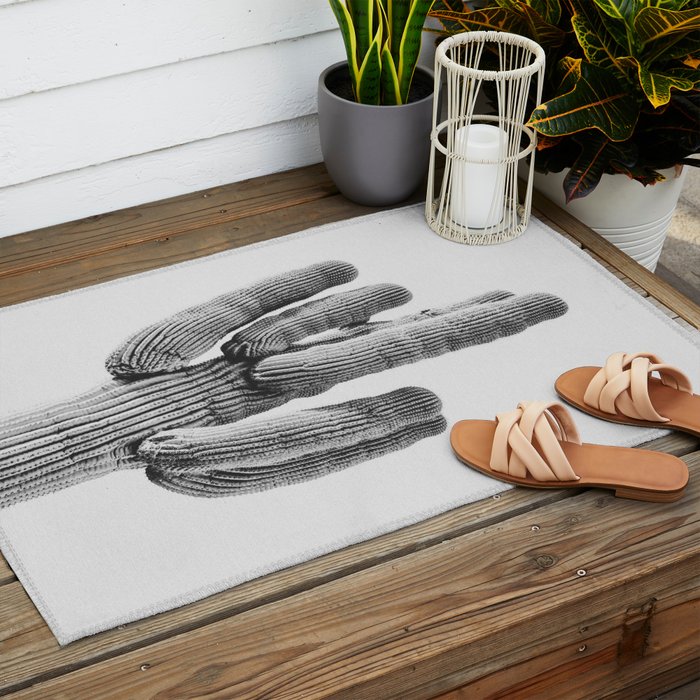 DESERT CACTUS XIX / Scottsdale, Arizona Outdoor Rug Gallery Image 2