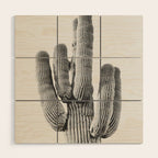 DESERT CACTUS XIX / Scottsdale, Arizona Wood Wall Art Gallery Image 1
