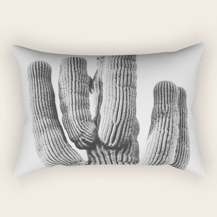 DESERT CACTUS XIX / Scottsdale, Arizona Rectangular Pillow Gallery Image 2
