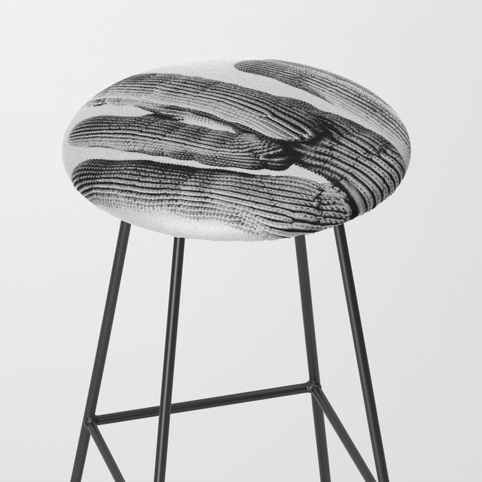 DESERT CACTUS XIX / Scottsdale, Arizona Stool Gallery Image 2