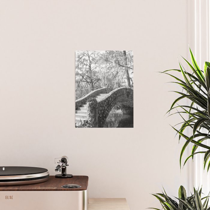 New Orleans City Park black and white photography Poster Gallery Image 2