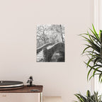 New Orleans City Park black and white photography Poster Gallery Image 2