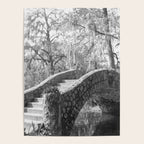 New Orleans City Park black and white photography Poster Gallery Image 4