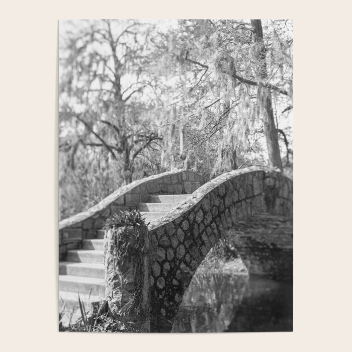 New Orleans City Park black and white photography Poster Gallery Image 1