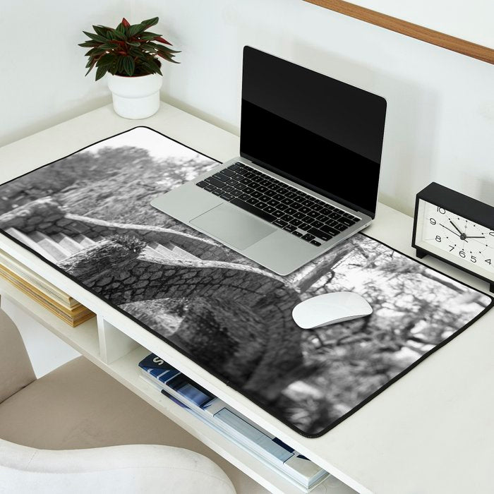 New Orleans City Park black and white photography Desk Mat Gallery Image 2