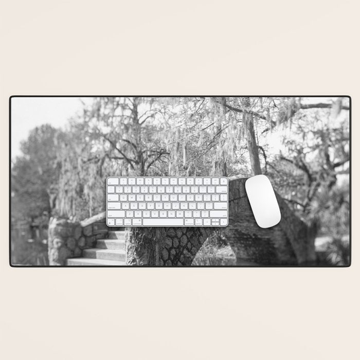 New Orleans City Park black and white photography Desk Mat Gallery Image 1