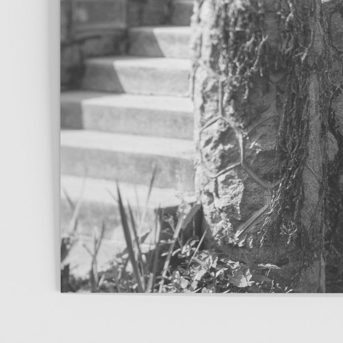 New Orleans City Park black and white photography Poster Gallery Image 3