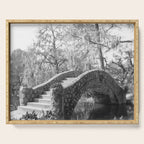 New Orleans City Park black and white photography Serving Tray Gallery Image 1