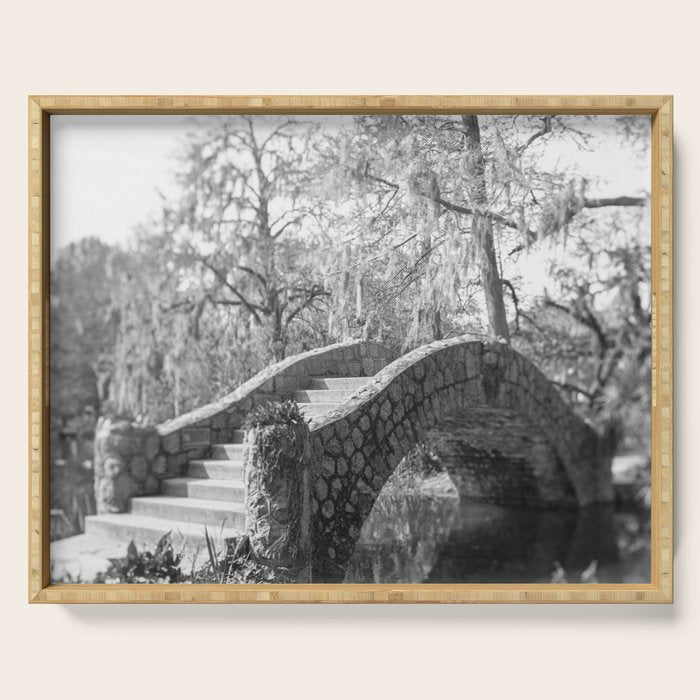 New Orleans City Park black and white photography Serving Tray Gallery Image 1