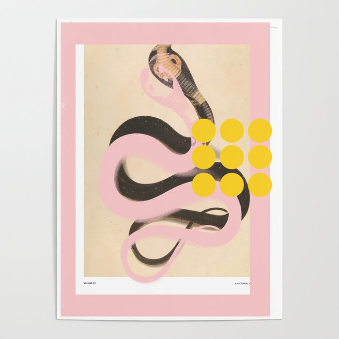 abstract daydream snake mix Poster Gallery Image 1