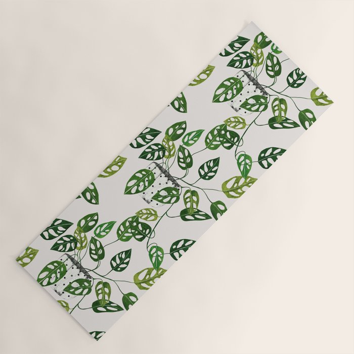 Monstera obliqua interior plant Yoga Mat Gallery Image 1