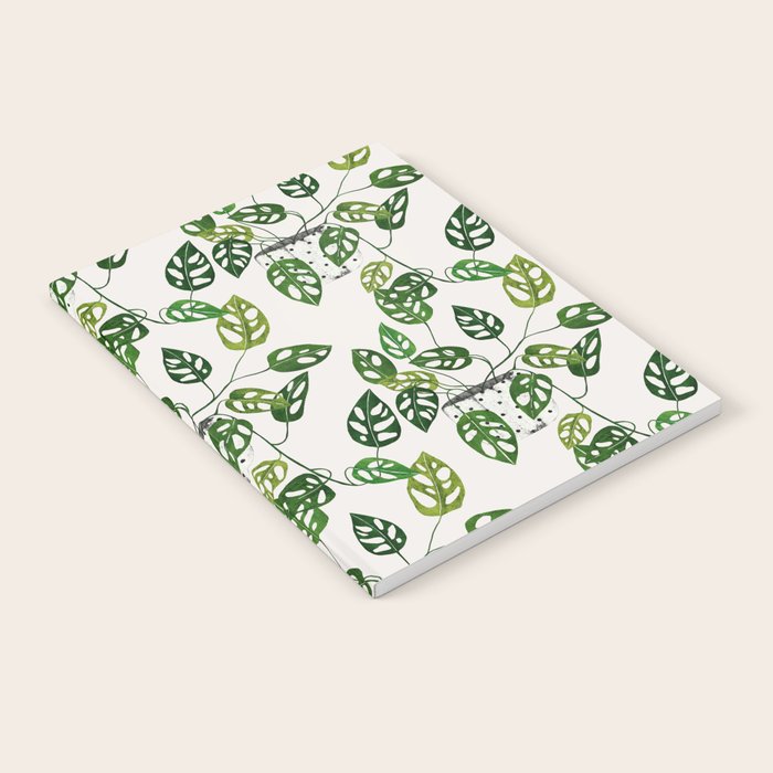 Monstera obliqua interior plant Notebook Gallery Image 1