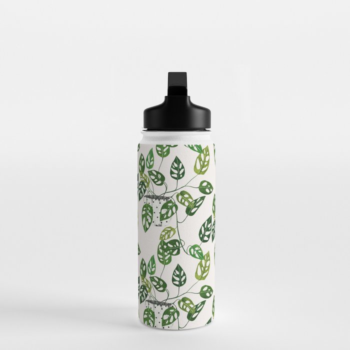 Monstera obliqua interior plant Water Bottle Gallery Image 3