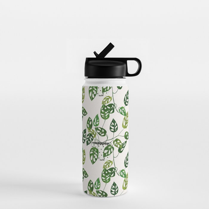 Monstera obliqua interior plant Water Bottle Gallery Image 1
