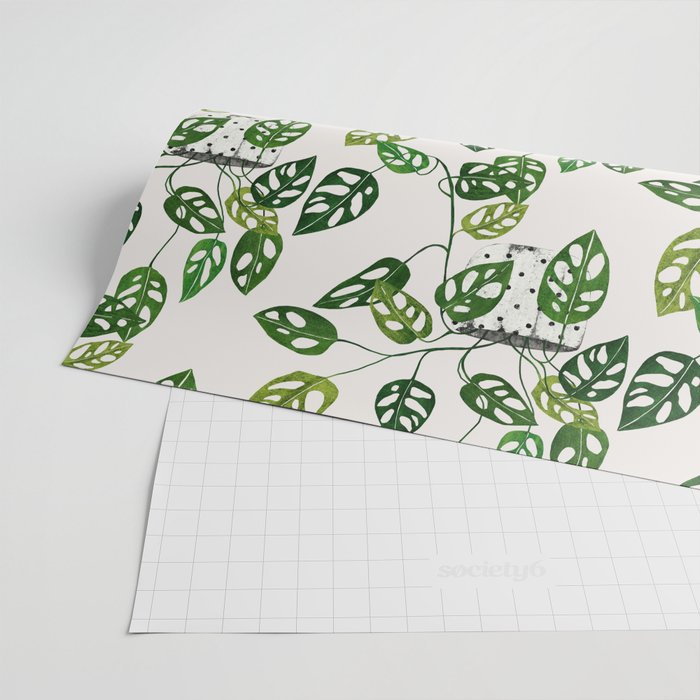 Monstera obliqua interior plant Wrapping Paper Gallery Image 2