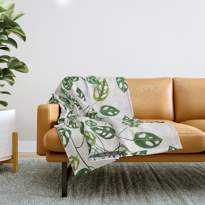 Monstera obliqua interior plant Throw Blanket Gallery Image 1