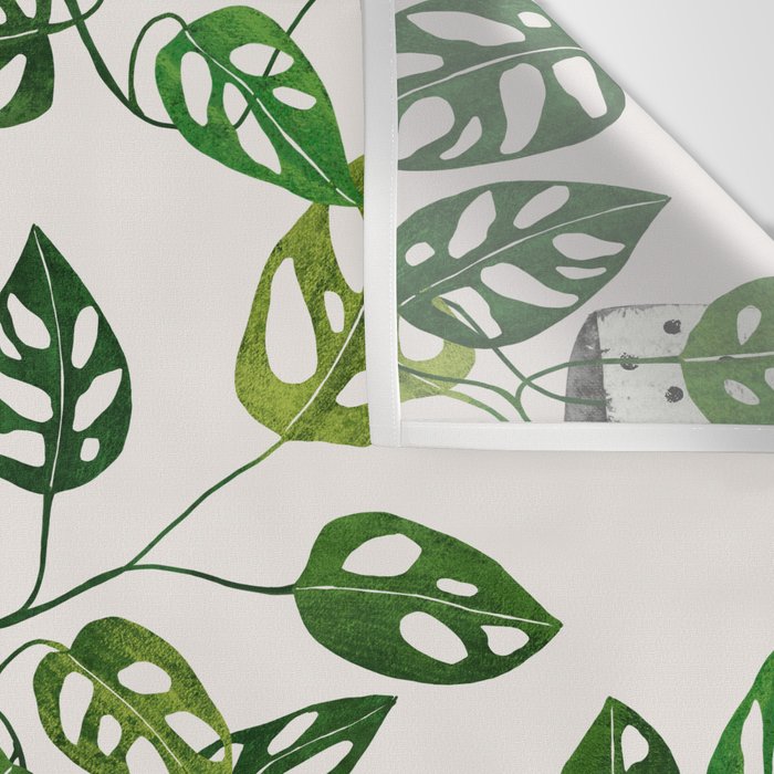 Monstera obliqua interior plant Wall Tapestry Gallery Image 3