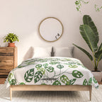 Monstera obliqua interior plant Comforter Gallery Image 3