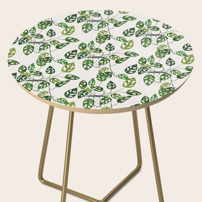 Monstera obliqua interior plant Side Table Gallery Image 2