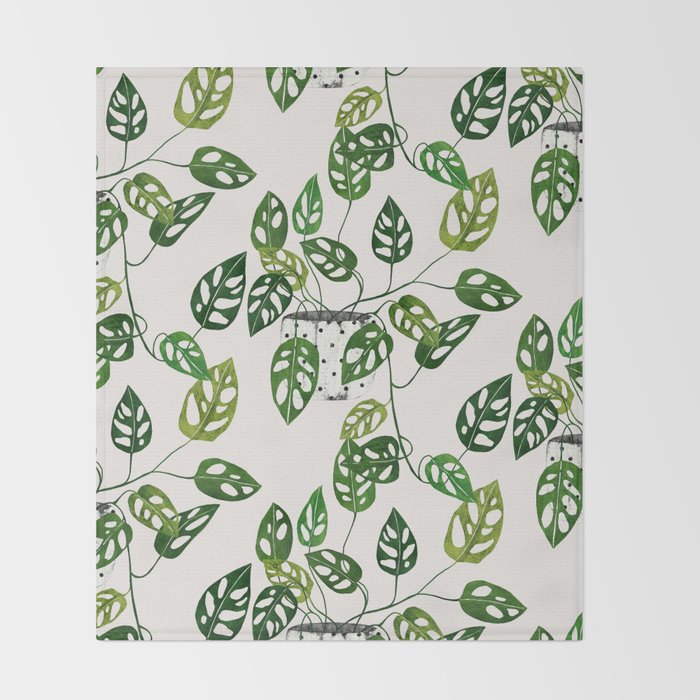 Monstera obliqua interior plant Throw Blanket Gallery Image 2