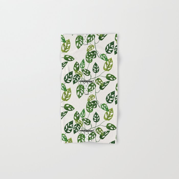 Monstera obliqua interior plant Bath Towel Gallery Image 1