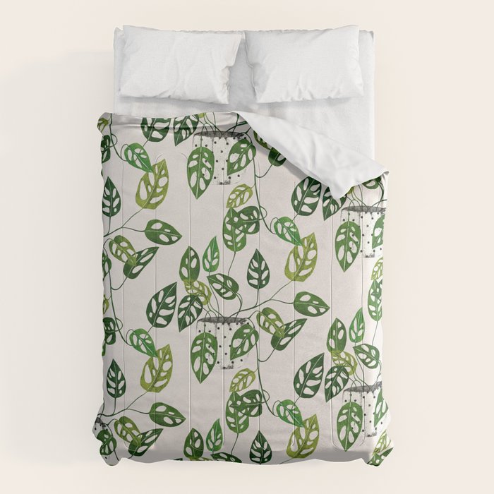 Monstera obliqua interior plant Comforter Gallery Image 1