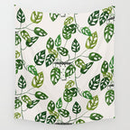 Monstera obliqua interior plant Wall Tapestry Gallery Image 4
