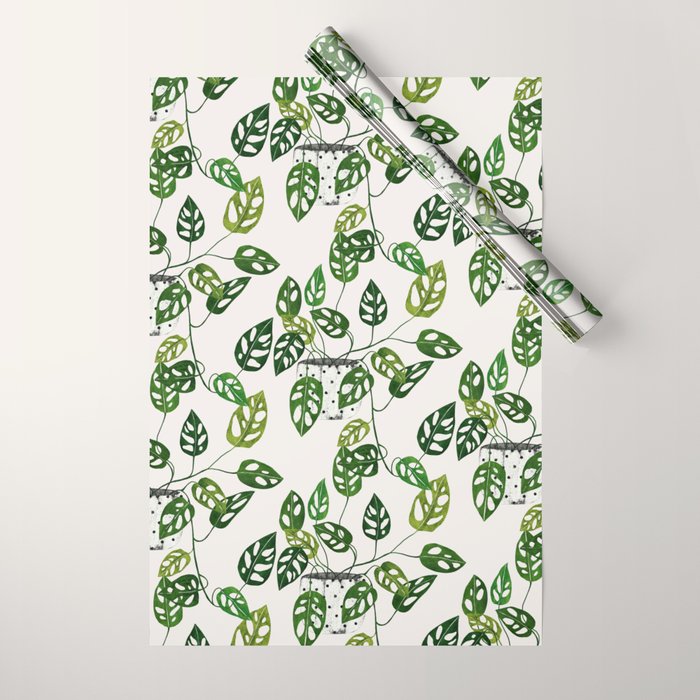 Monstera obliqua interior plant Wrapping Paper Gallery Image 1