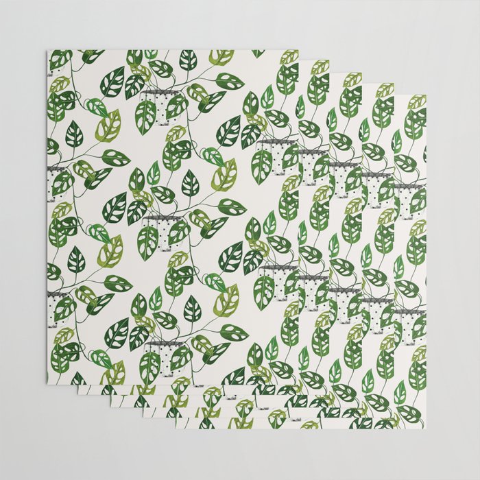 Monstera obliqua interior plant Wrapping Paper Gallery Image 3