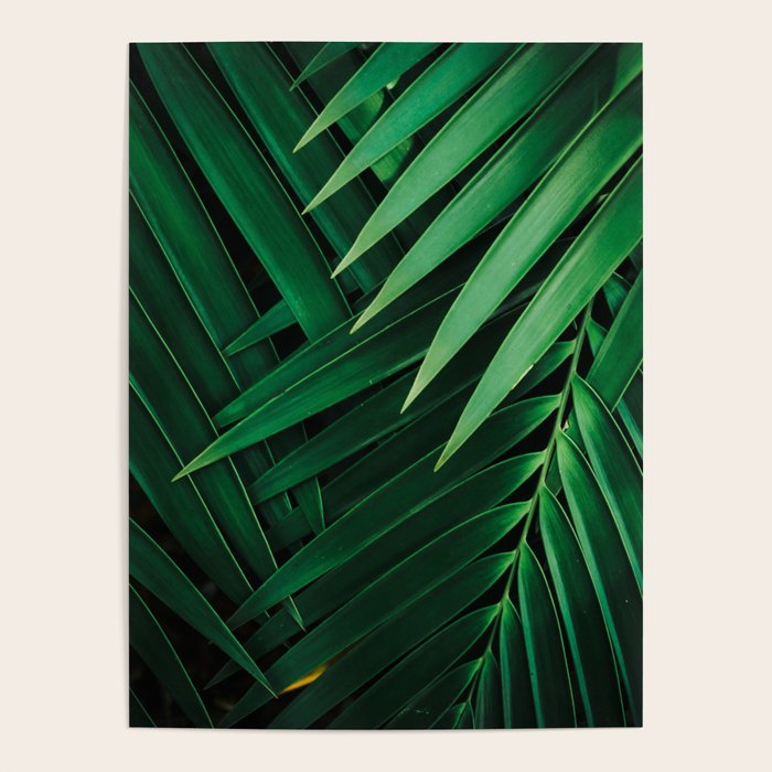 Embrace Poster Gallery Image 4