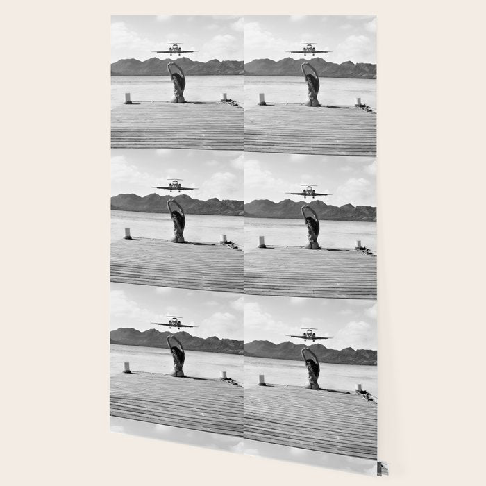 Steady as she goes girl in bikini on a dock with plane landing black and white photograph Wallpaper Gallery Image 2