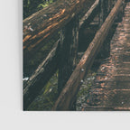 Trail Bridge Poster Gallery Image 3