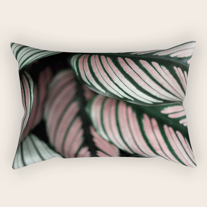 Calathea Whitestar Leaves photography by Ingrid Beddoes  Rectangular Pillow Gallery Image 1