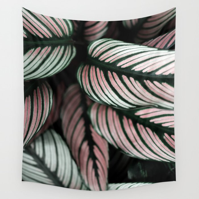 Calathea Whitestar Leaves photography by Ingrid Beddoes  Wall Tapestry Gallery Image 1