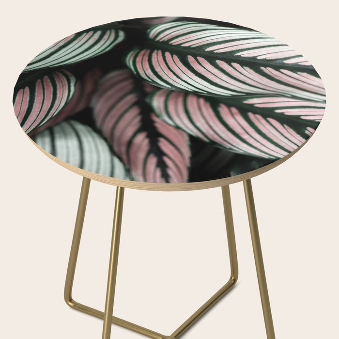 Calathea Whitestar Leaves photography by Ingrid Beddoes  Side Table Gallery Image 2