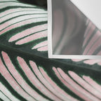 Calathea Whitestar Leaves photography by Ingrid Beddoes  Wall Tapestry Gallery Image 3
