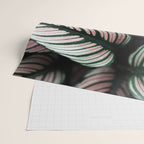 Calathea Whitestar Leaves photography by Ingrid Beddoes  Wrapping Paper Gallery Image 2