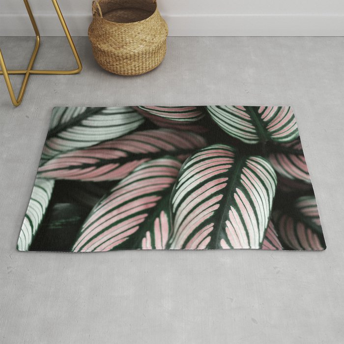 Calathea Whitestar Leaves photography by Ingrid Beddoes  Rug Gallery Image 1