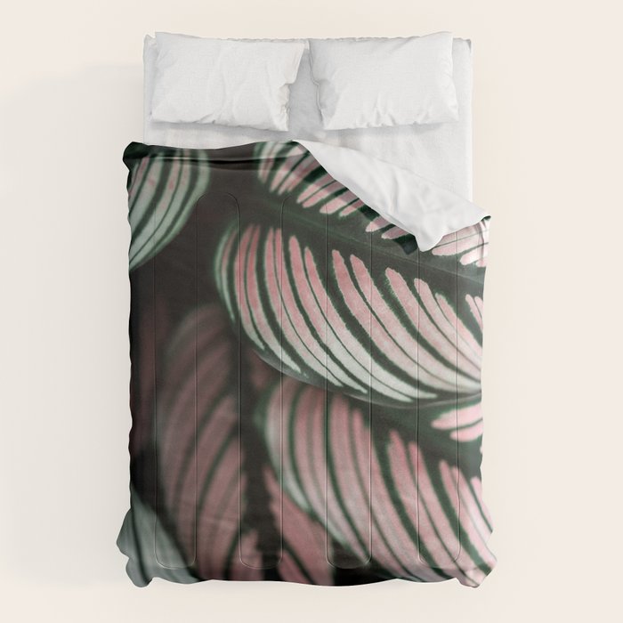 Calathea Whitestar Leaves photography by Ingrid Beddoes  Comforter Gallery Image 6