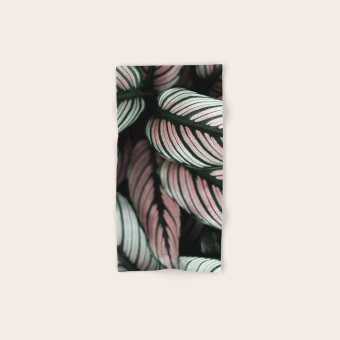 Calathea Whitestar Leaves photography by Ingrid Beddoes  Bath Towel Gallery Image 1