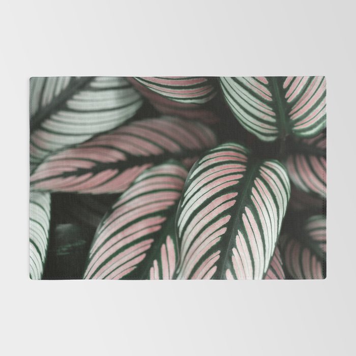 Calathea Whitestar Leaves photography by Ingrid Beddoes  Rug Gallery Image 2