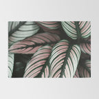 Calathea Whitestar Leaves photography by Ingrid Beddoes  Rug Gallery Image 2