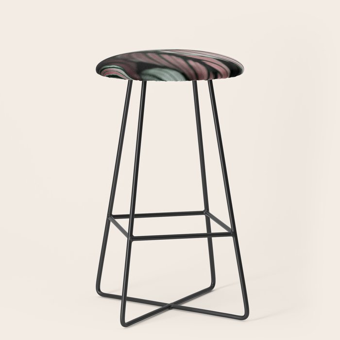 Calathea Whitestar Leaves photography by Ingrid Beddoes  Stool Gallery Image 1