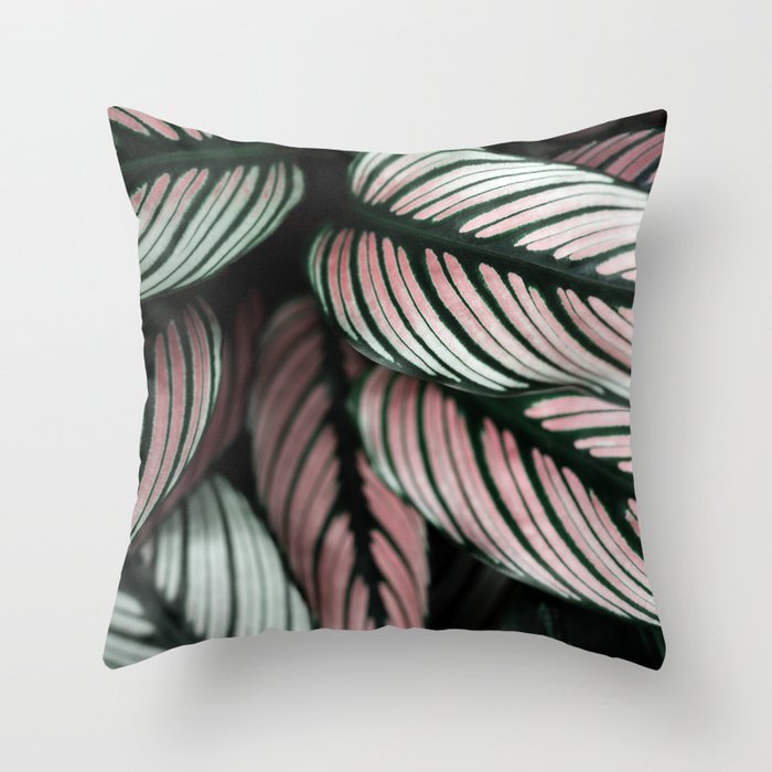 Calathea Whitestar Leaves photography by Ingrid Beddoes  Throw Pillow Gallery Image 6
