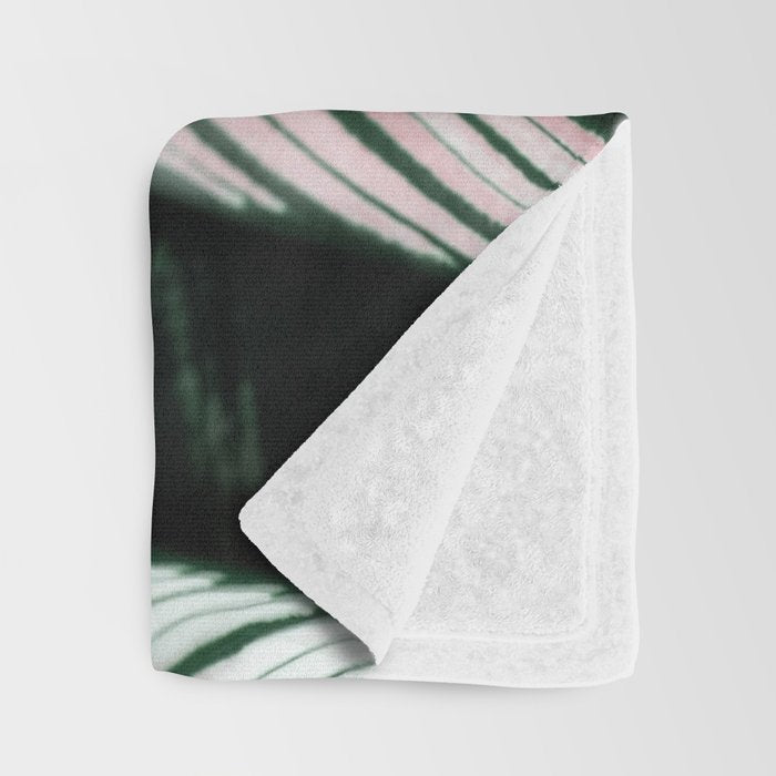 Calathea Whitestar Leaves photography by Ingrid Beddoes  Throw Blanket Gallery Image 3