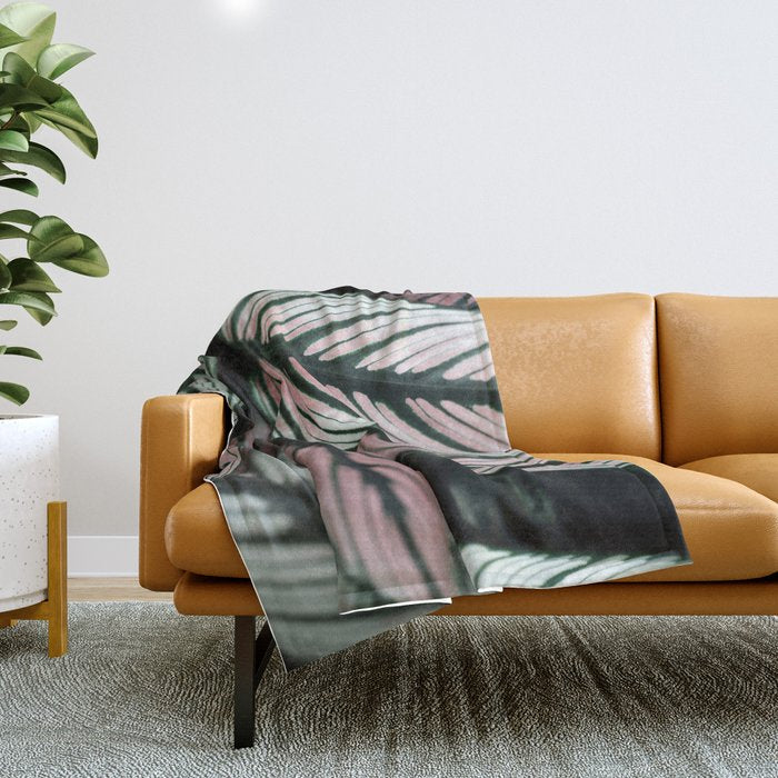 Calathea Whitestar Leaves photography by Ingrid Beddoes  Throw Blanket Gallery Image 1