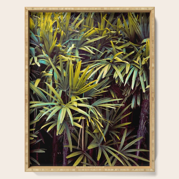 Neon Jungle - Tropical Nature Photography Serving Tray Gallery Image 1